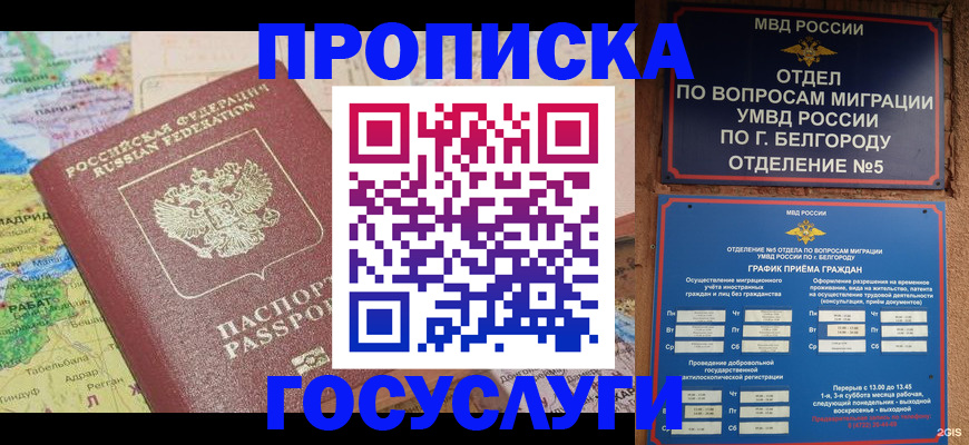 прописка регистрация в Михайлове